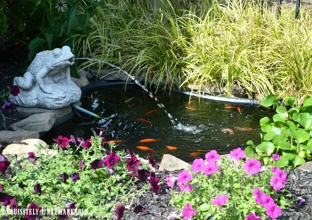 Backyard pond with frog fountain, petunias and fish