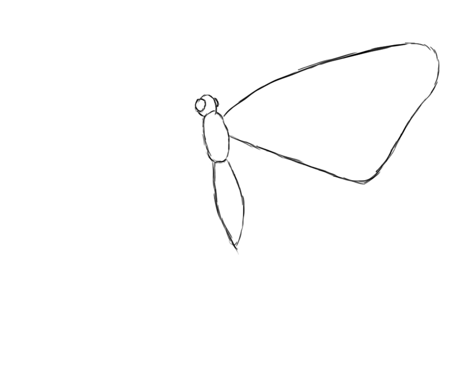 How To Draw A Butterfly Draw Central