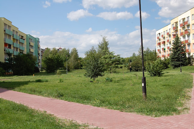 DSC_6155.JPG