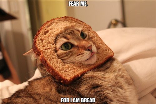 Fear+Me+For+I+Am+Bread+Cat.jpg