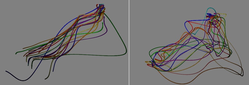 Visualizing High Dimensional Data: On Strip Overfitting of ...