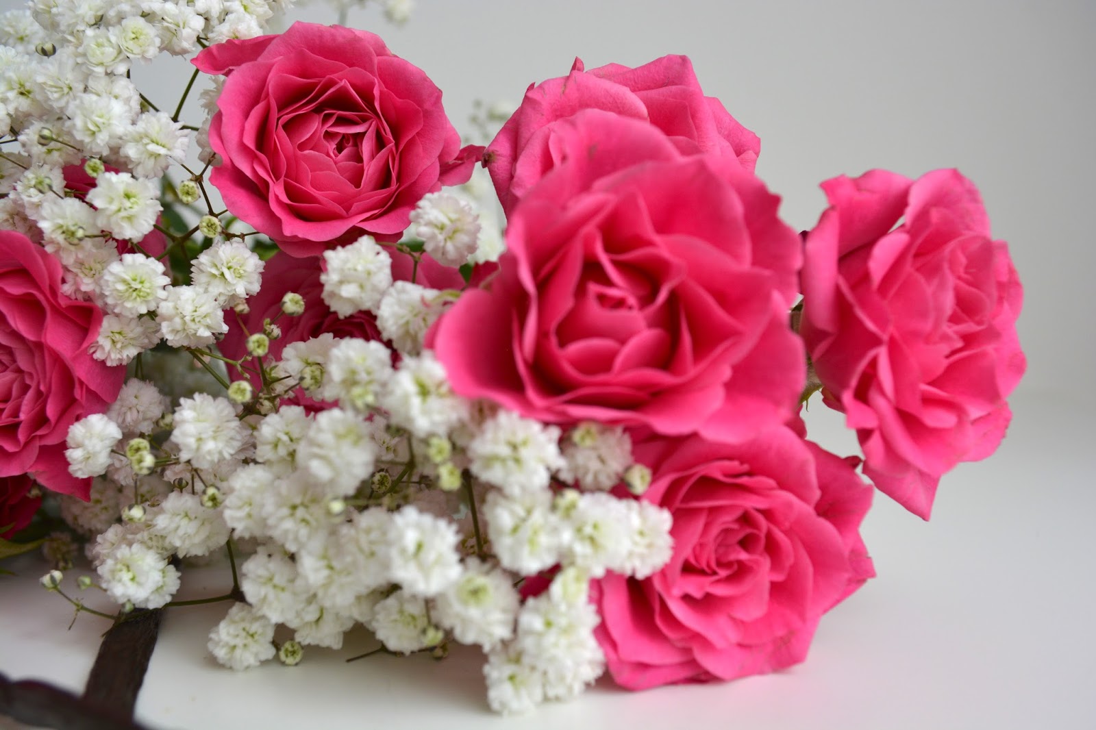 Peony Watercolor Clip Art Hand Drawn Peony Bouquet Peony Etsy