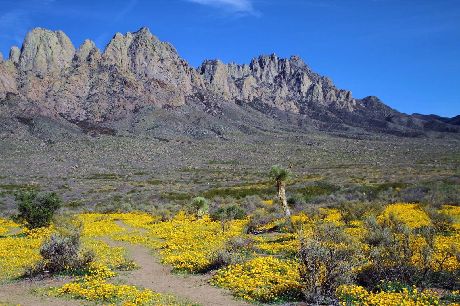 Views from Soledad Canyon to Las Cruces at Safe Distance