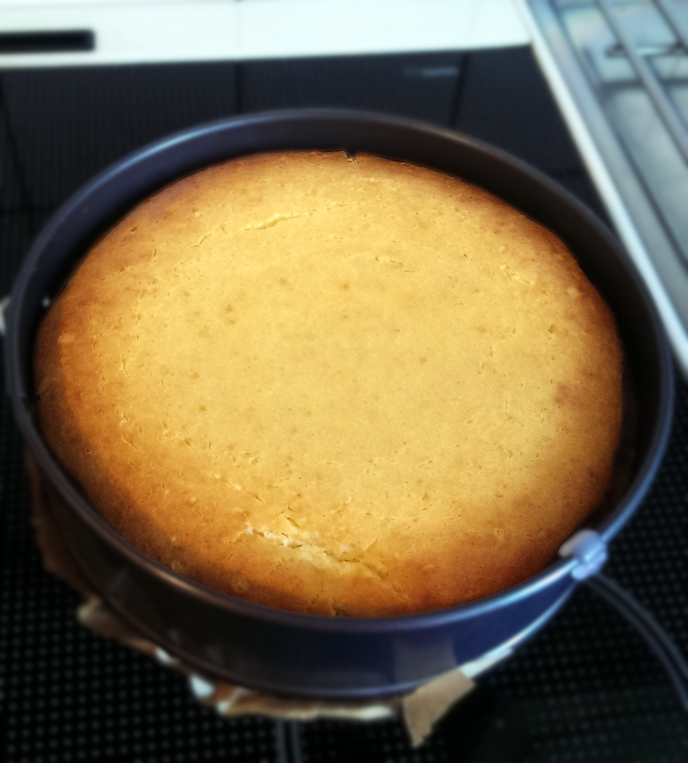 easy vanilla cheesecake recipe