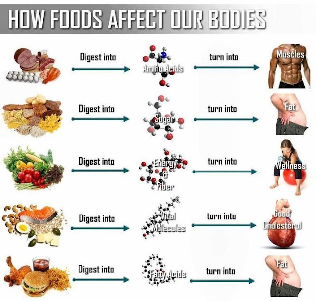 Healthy Unhealthy Food Chart