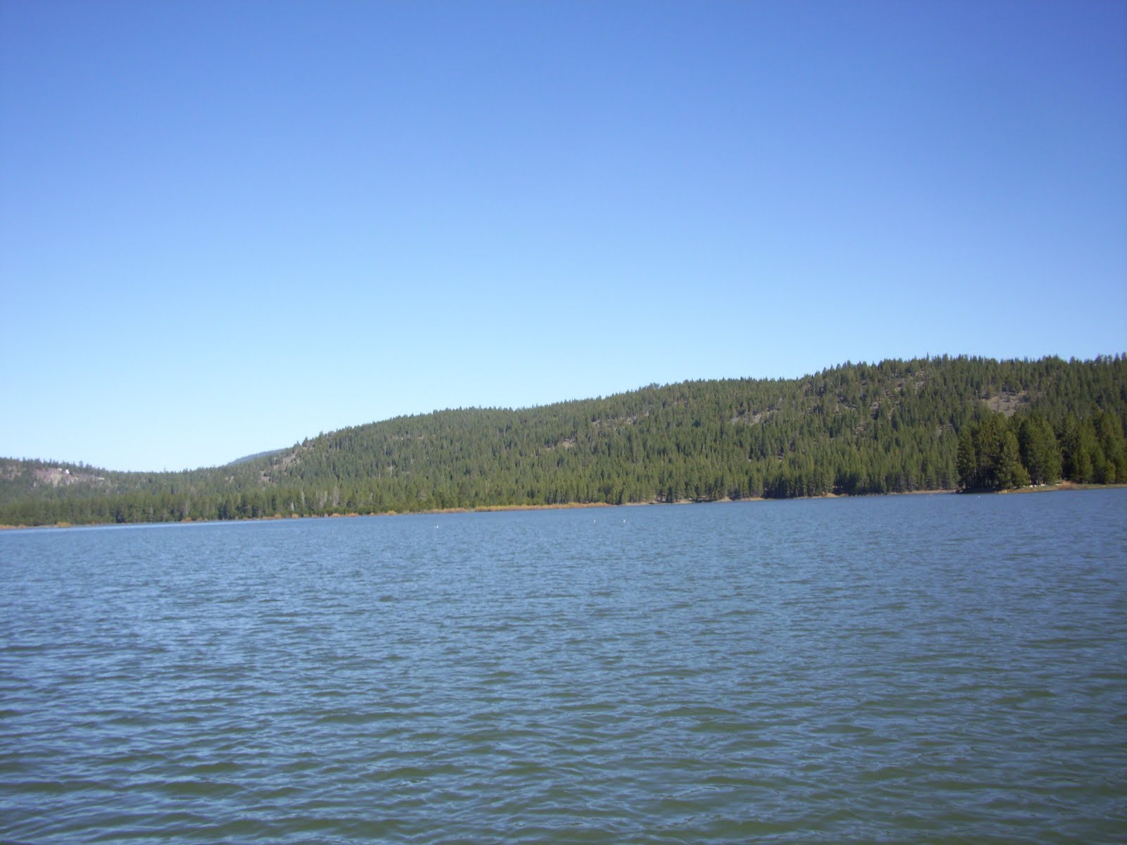 Northern Sierra Fly Fishing Lake Davis Report