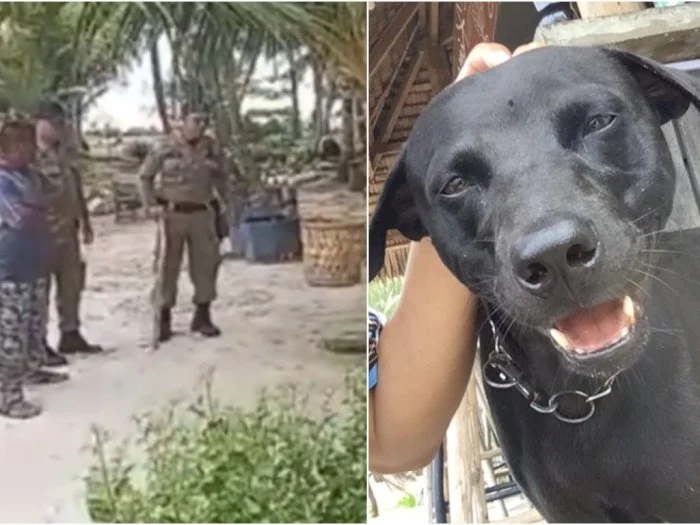 Pemilik Anjing Canon Akhirnya Minta Maaf, Minta Postingan Viral Dihapus