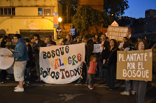 A un año del Bosque Alegre
