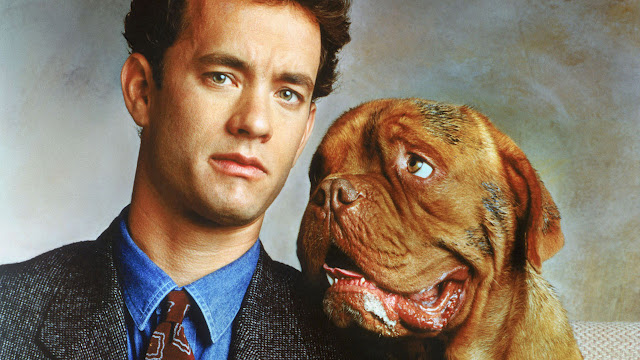 ... do Turner and Hooch (Amigos e Detectives)