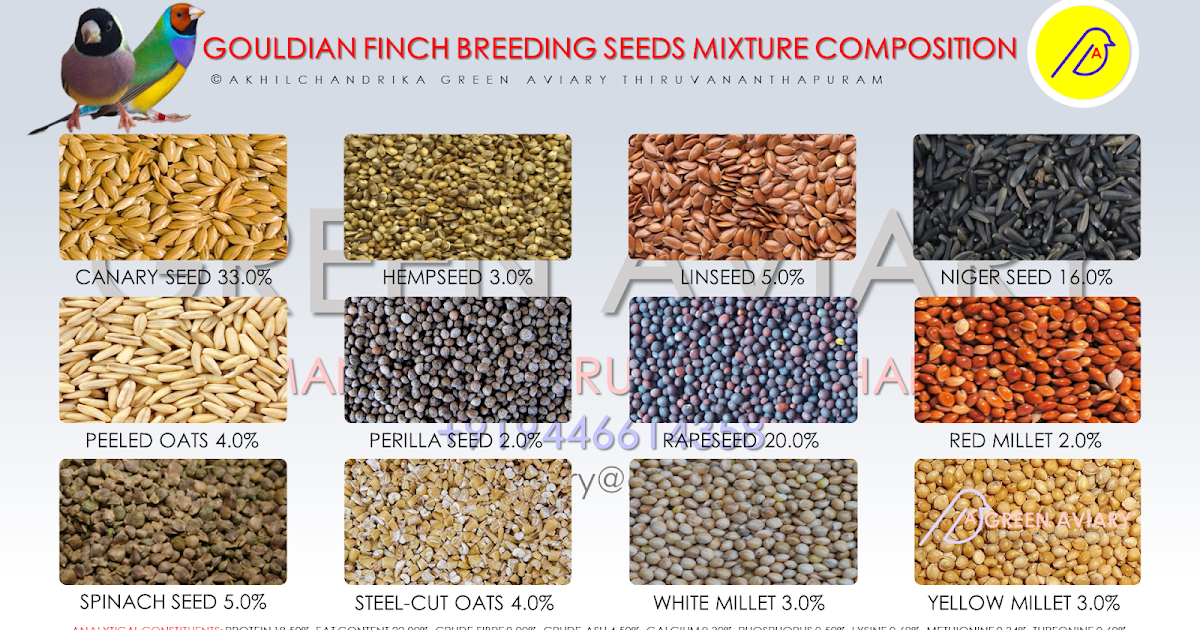 GOULDIAN FINCH BREEDING SEEDS MIXTURE COMPOSITION