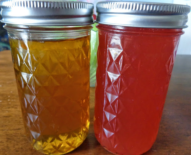 Weeping Willow Microfarm Backyard Foraging Japanese Knotweed Jelly