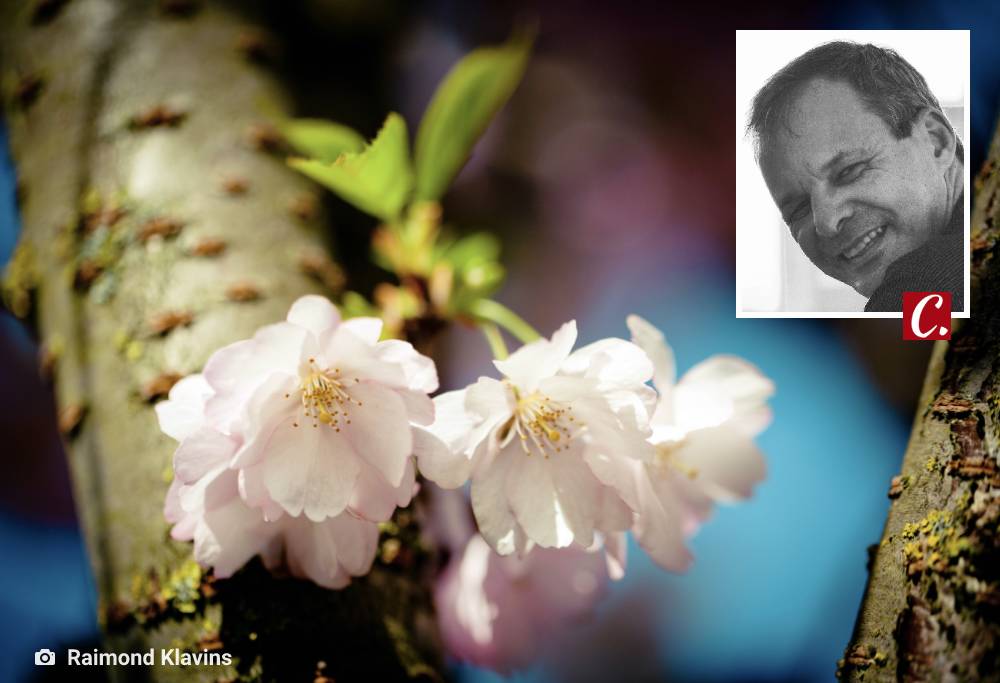 literatura paraibana poesia clovis roberto flores chuva cotidiano