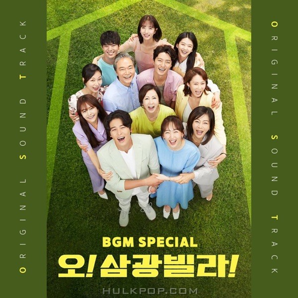 Various Artists – Homemade Love Story OST BGM