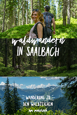 Waldwandern in Saalbach | Wanderung zu den Waldteichen am Maisereck | Saalbach - Maisalm - Wirtsalm - Waldteiche - Spielberghaus - Saalbach | Wandern-SalzburgerLand 21