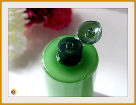 Innisfree Green Tea Balancing Skin EX toner packaging and review