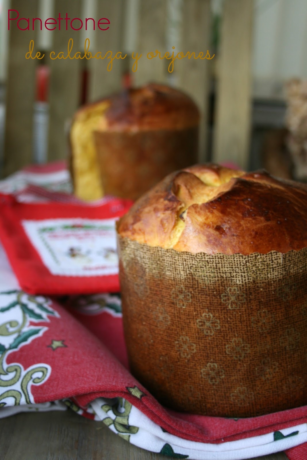 panettone-de-calabaza-y-orejones-el-gora-de-ngeles