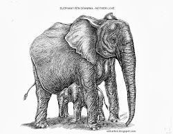 pen elephant drawing drawings realistic artist paintingvalley