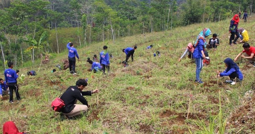 Cara Mencegah Banjir dan Tanah Longsor Rimba Raya Indonesia