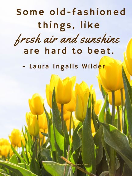 Laura Ingalls Wilder Quote and Printable - The Laura Ingalls Wilder ...