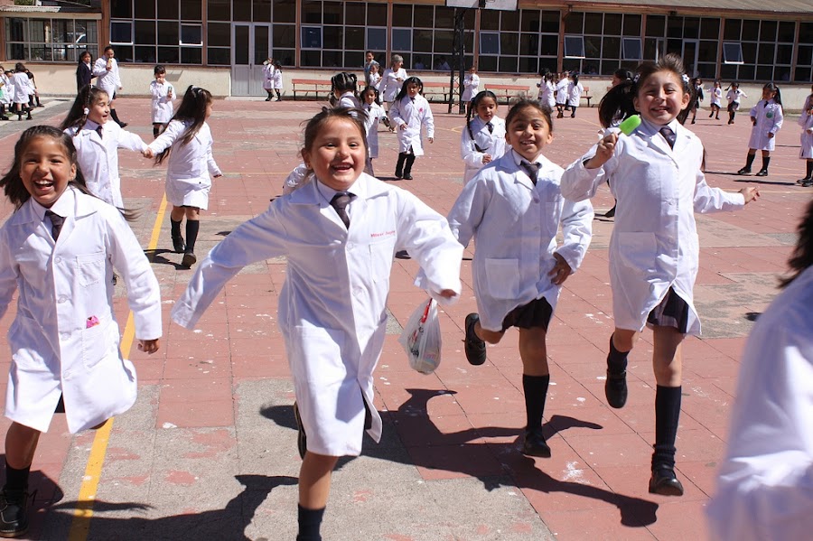 Cosas para tomar en cuenta al elegir colegio