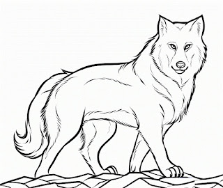 Desenhos de lobo para colorir