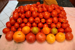 Home Grown Maters