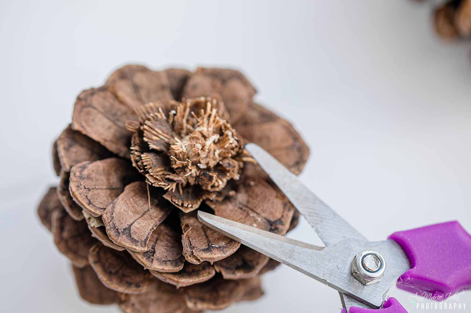 Steps to Making Patriotic Pinecone Flowers