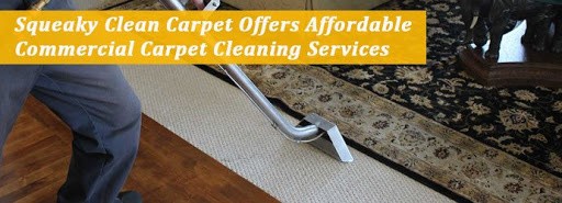 Expert Carpet Cleaning Services