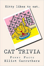 Cat Trivia - Book on Amazon