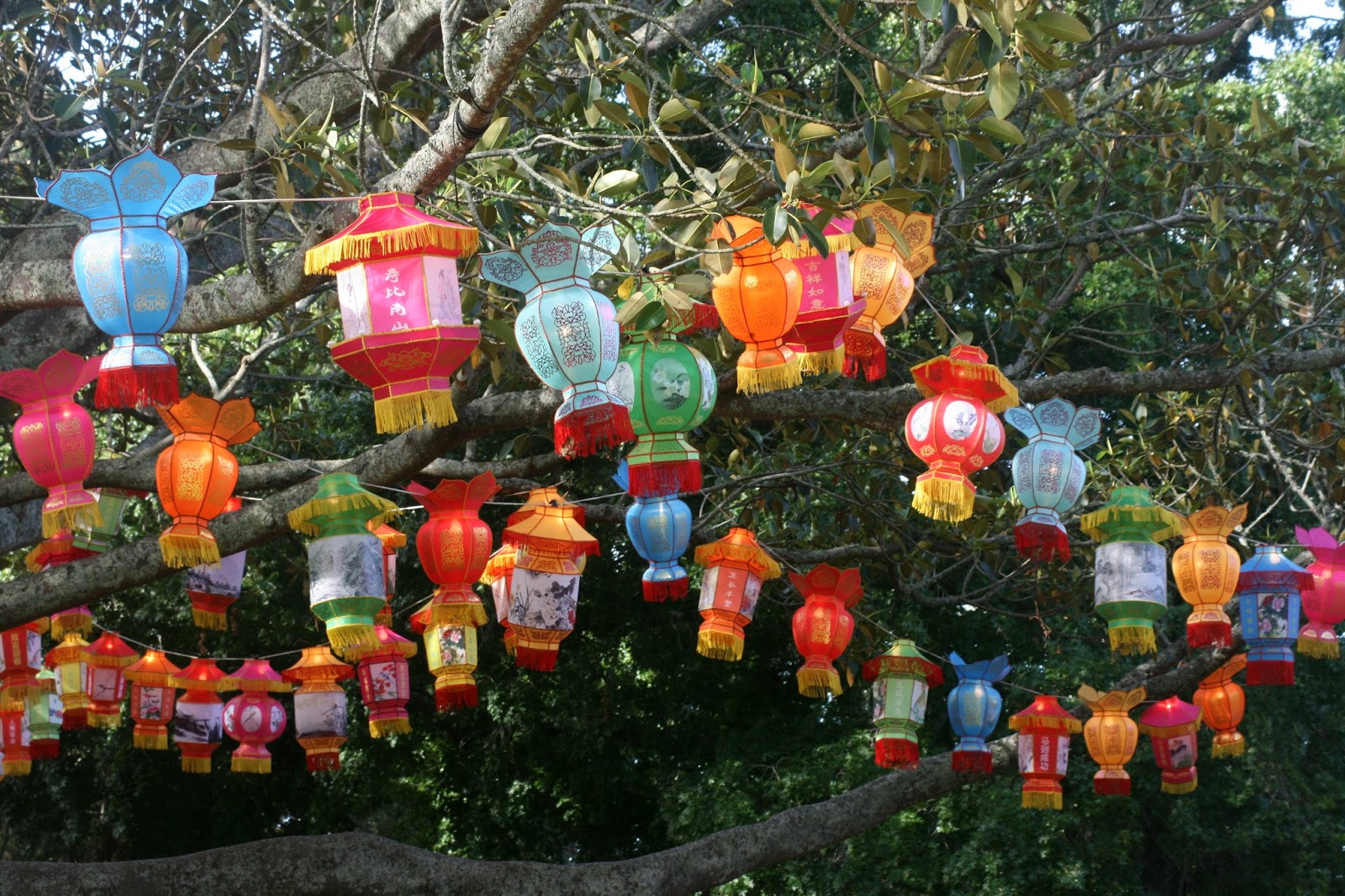 Mission To The Land of The Long White Cloud Auckland Lantern Festival