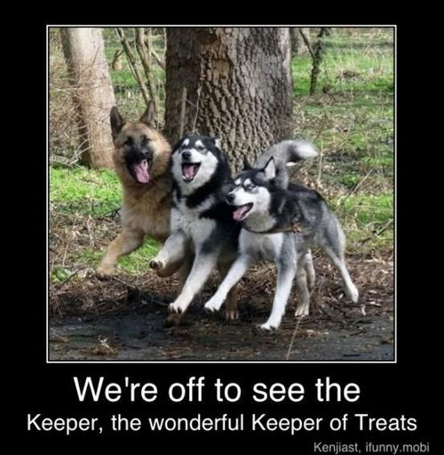 To The Wonderful Keeper Of Treats