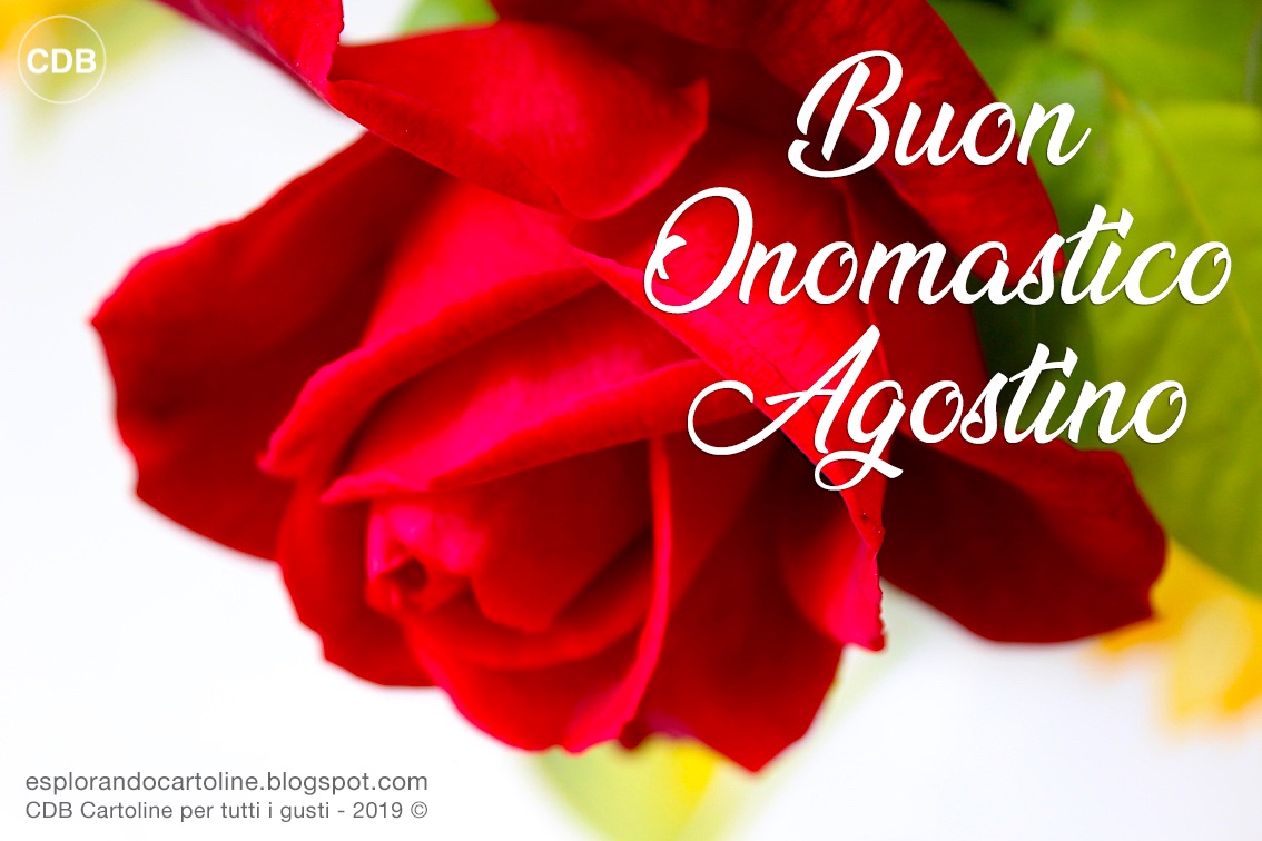 Cdb Cartoline Per Tutti I Gusti Cartolina Tanti Auguri Di Buon Onomastico Agostino Auguri Anche Per Agostina Augustin Austin E Augusta Con Immagine Floreale Di Rosa Rossa Da Scaricare Gratis