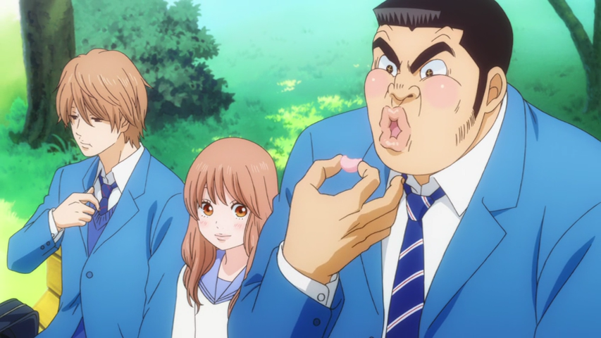 HamsapSukebe : Ore Monogatari 1-12