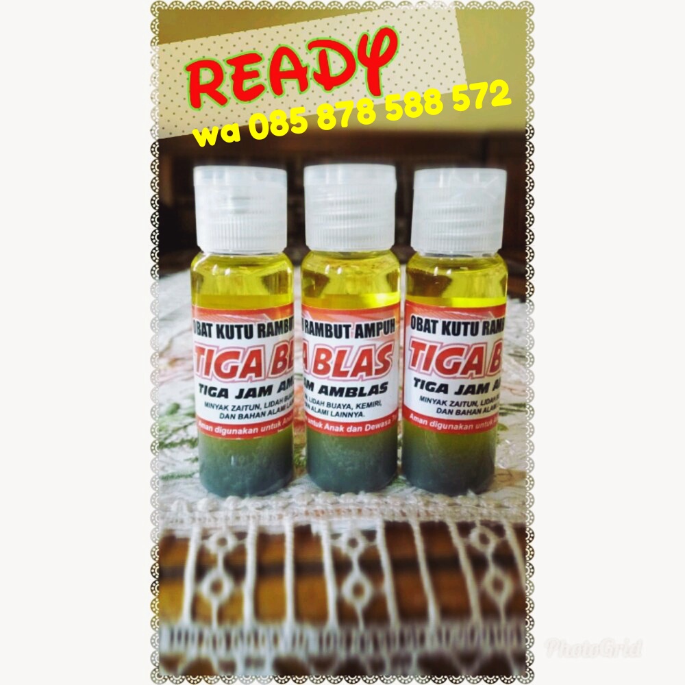 obat penghilang kutu rambut dengan cepat: obat kutu rambut anak ampuh
