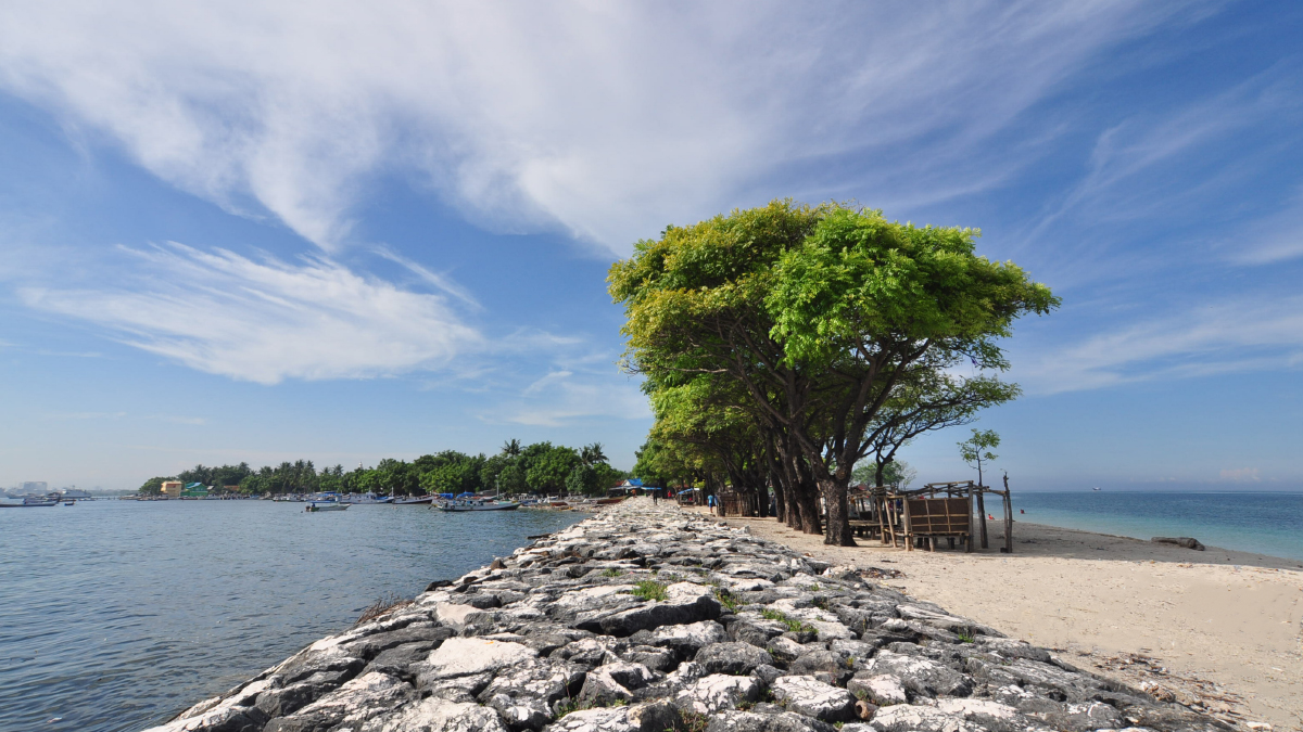 Pohon keren dan bagus Pulau Lae-Lae pemdangan fotografi landscape Pulau Lae-Lae