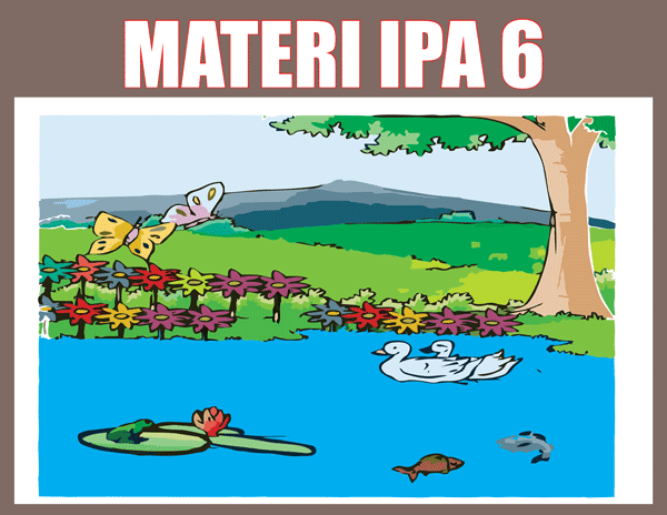 materi ipa sd kelas 6 materi ipa sd kelas 6