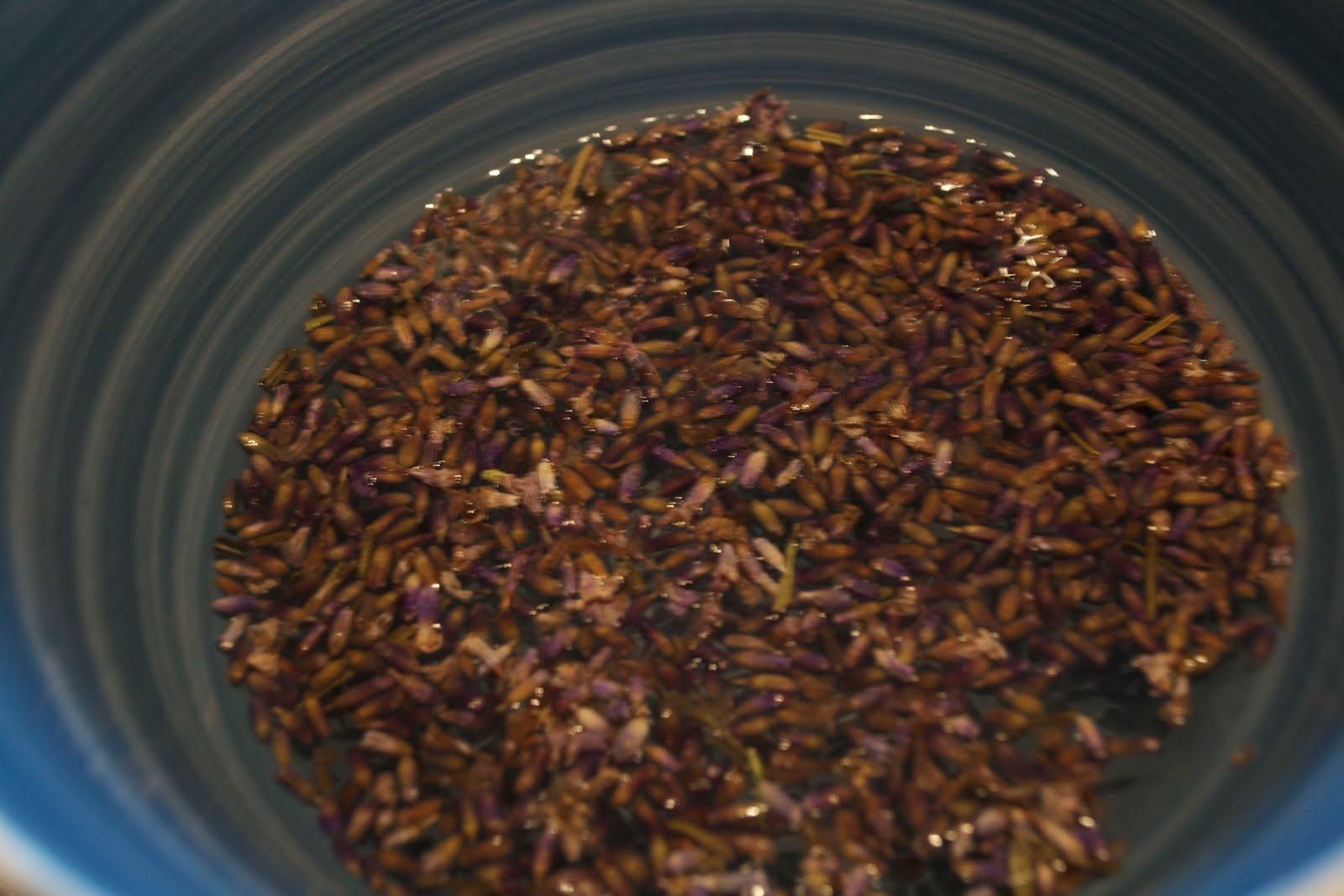 Equal Opportunity Kitchen Preserved Peaches Four Ways