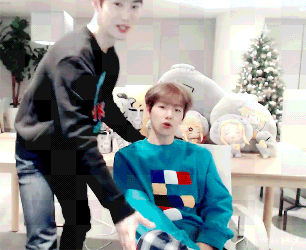 18.gif