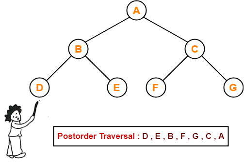 Tree Traversal Techniques ~ Code Vidyalay