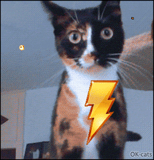 Art Cat GIF • Poor cat having recurring nightmares about war attacks and huge explosions Art Cat GIF • Poor cat having recurring nightmares about war attacks and huge explosions