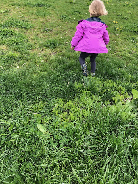 "The Bigger and More Important Education"