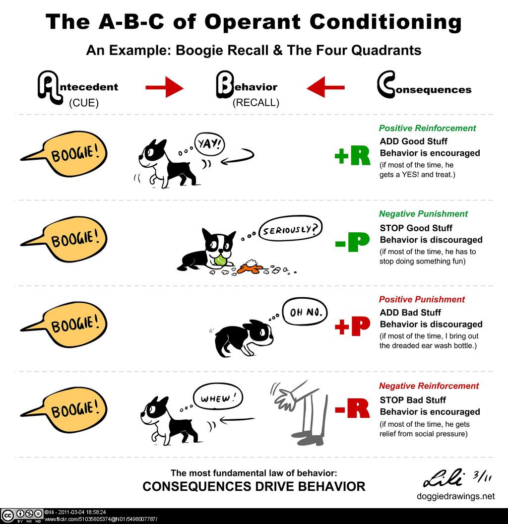 Hundeschule an der Leine Zurück in die Steinzeit?
