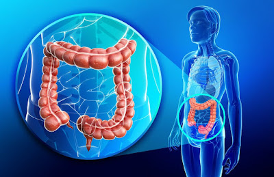 Clean Colon Is Essential To Improve Your Digestive System