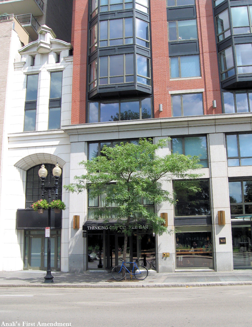 Thinking Cup Coffee Bar Boston, MA