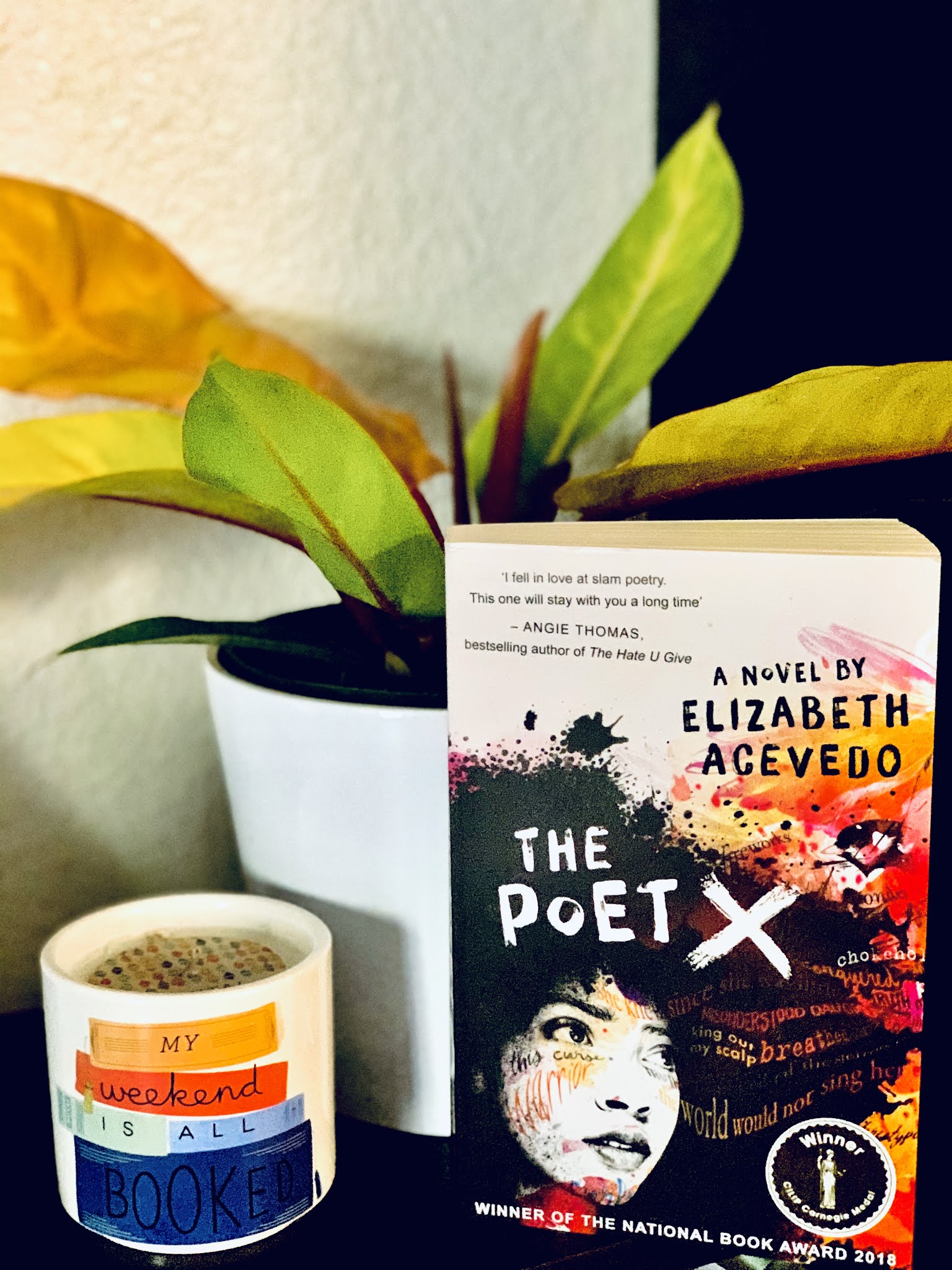 The Poet X by Elizabeth Acevedo Review Book Obsessed Introverts