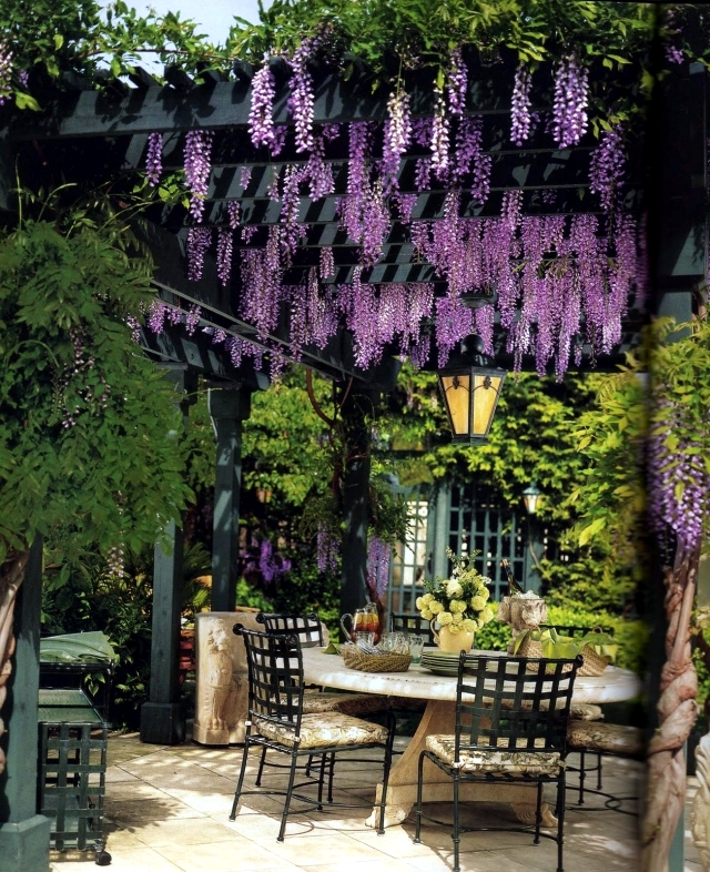 Garden Pergola Photos Everything About Garden