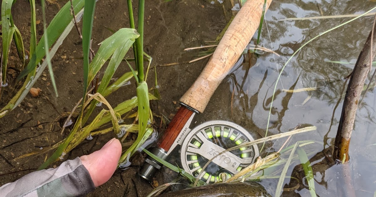 First Cast Fly Fishing Fort Collins Fly Fishing Lessons Dry Fly