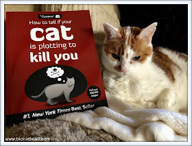How to tell if your cat is plotting to kill you reviewed by Amber, book review by amber the cat, library cat, cat with books, books with cats, funny book
