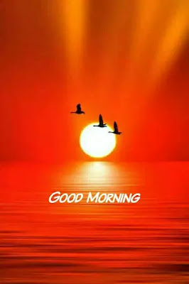 good evening images for whatsapp download,good evening images Free download for whatsapp good evening images for whatsapp download,good evening images Free download for whatsapp