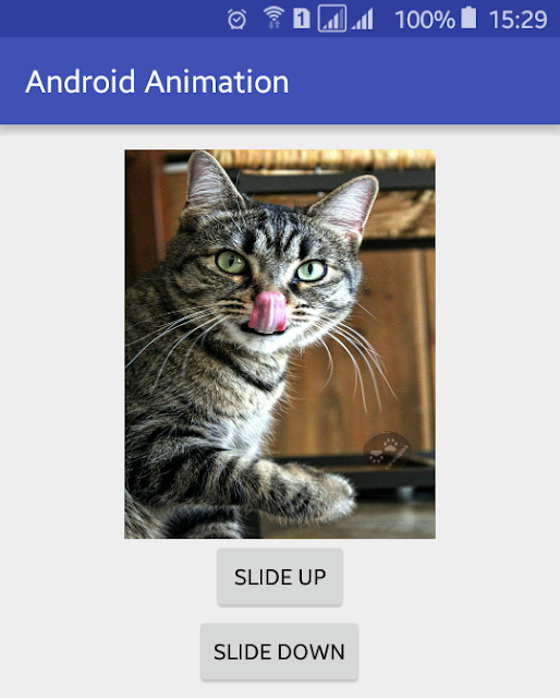 Android Example: How to Setup Slide Up and Down Animation in Android